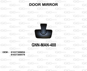 DOOR MIRROR