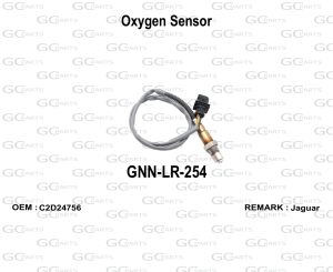 Oxygen Sensor