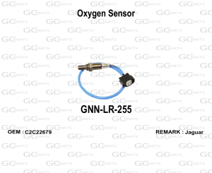 Oxygen Sensor