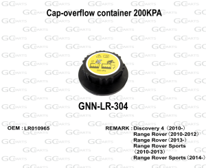 Cap-overflow container 200KPA